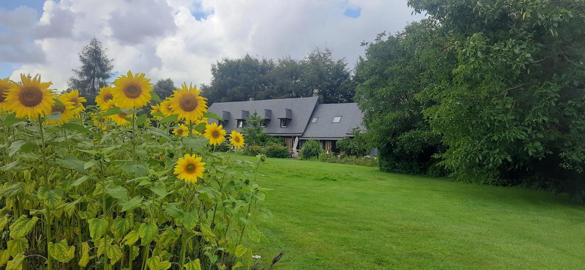 Le Lit De La Saane Bed & Breakfast Auzouville-sur-Saâne Екстериор снимка